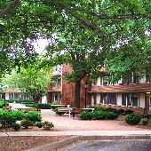 photo of apartment courtyard